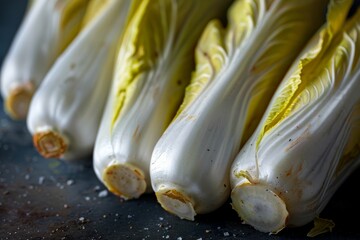 Belgian endive chicory