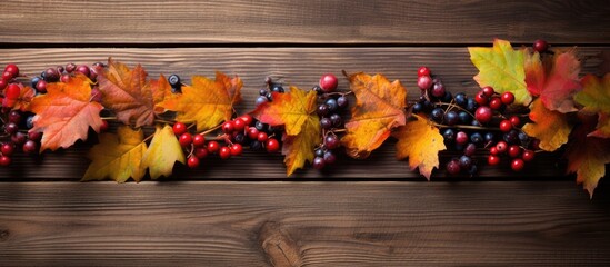 Wall Mural - A copy space image featuring a vibrant frame of autumn leaves on wooden boards adorned with ripe berries