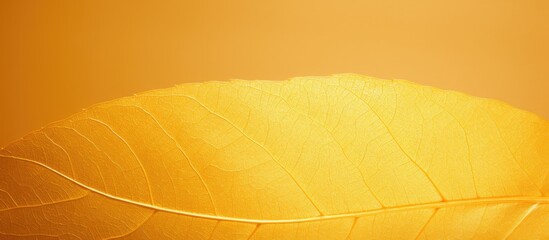 Aufkleber - Golden foil texture background with a shiny yellow leaf appearance perfect for a copy space image