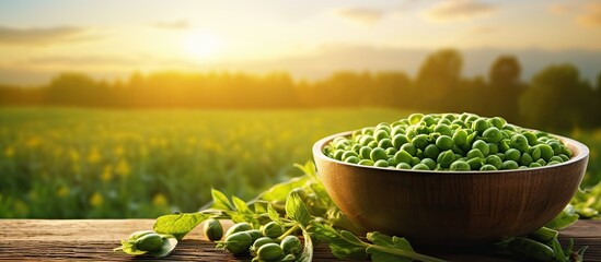 Poster - A copy space image of green peas in a bowl on a wooden table set against the backdrop of an agricultural field during sunset