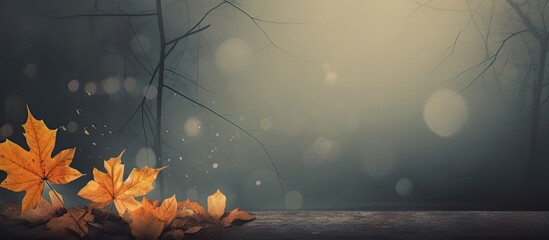 Aufkleber - Autumn time a season characterized by falling leaves cool temperatures and earthy colors is perfect for capturing a copy space image