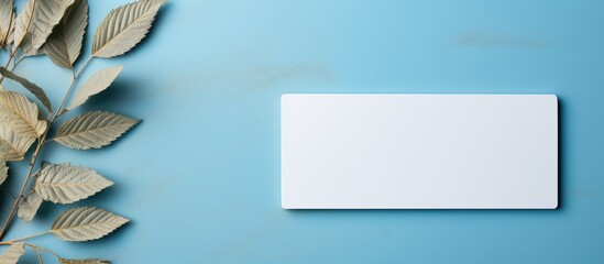 Poster - A top down view of a blank card on a blue backdrop highlighted by the shadow of leaves This copy space image includes a clipping path