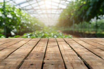 Wall Mural - Blank wooden table and blurry greenhouses on farm background for product display or montage