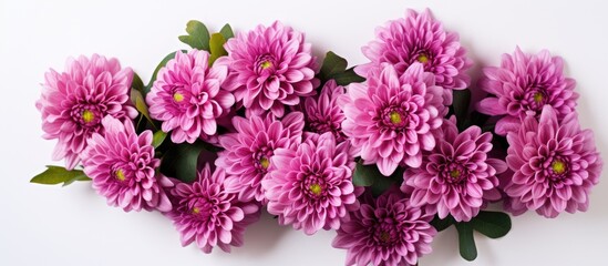 Leinwandbilder - A top down view of a pink chrysanthemum bouquet placed on a white surface leaving room for text in the background Flat lay style. Creative banner. Copyspace image
