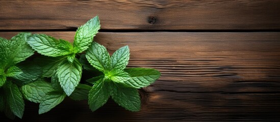 Aufkleber - A copy space image of vibrant green mint leaves placed on a rustic wooden table
