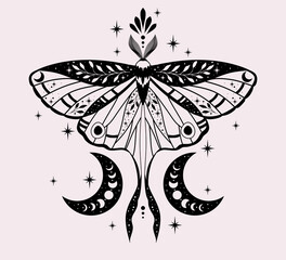 Wall Mural - black butterfly vector illustration. esoteric alchemy symbol. design for poster, card, tattoo.