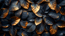 Background Image Of Black And Gold Metal Leave,
A Luxurious Wallpaper Pattern With A Design Of Golden Leaves Against A Black Velvet Backdrop Creating An Abstract Motif That Exudes Opulence And Grandeu