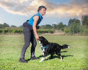 Sticker - obedience training for border collie