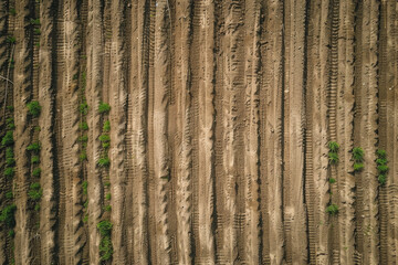 Wall Mural - A top-down view of a freshly plowed field, with rows of soil creating a textured pattern.