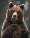 Fototapeta  - A brown bear holding a smartphone while looking at the camera. Smart bear uses phone to surf the internet in the forest. Poster. Perfect WiFi connection concept.