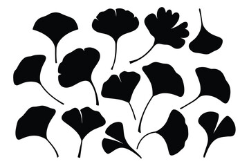 Set of ginkgo leaf Silhouette Design with white Background and Vector Illustration