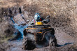 © yallowww - The ATV overcomes an impassable section of the road