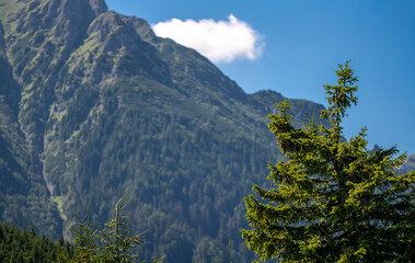 Wall Mural - Breathtaking landscape image showcasing majestic mountains and lush trees.