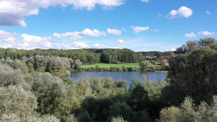 Wall Mural - Drone footage of green trees growing on a river bank in a field on a sunny day