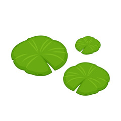 Wall Mural - Lily pad icon. Lily cartoon vector on white background.