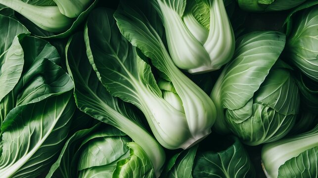 bok choy close-up wallpaper texture pattern or background 1