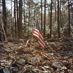 Wall Mural - American flag in the forest. American flag on the background of the forest.