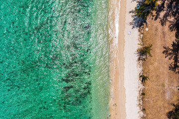 Wall Mural - Beautiful Mauritius island with beach Flic en flac. Coral reef around tropical palm beach, Flic en Flac, Mauritius. Aerial view of a beautiful beach along the coast in Flic en Flac, Mauritius.