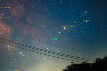 Wall Mural - Constellation guide (How to find), Scorpius, Antares. The center of the milky way galaxy (Summer season)