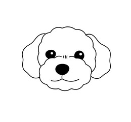 Wall Mural - vector isolated cute dog curly malipoo poodle head portrait muzzle colorless black and white contour
