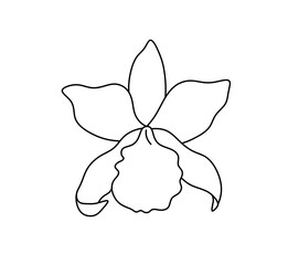 Wall Mural - Vector isolated one single orchid flower blossom  colorless black and white contour line easy drawing
