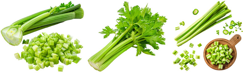 Celery collection, whole vegetable and cut in pieces, isolated on a white background