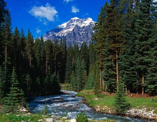 Mountain Stream