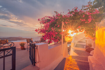 Wall Mural - Summer sunset vacation scenic of luxury famous Europe destination. White architecture in Santorini, Greece. Stunning couple honeymoon travel with pink flowers chairs, terrace. Romantic sun rays street