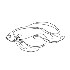 Wall Mural - line art illustrations of a sea fish, single line on white background, minimalistic style