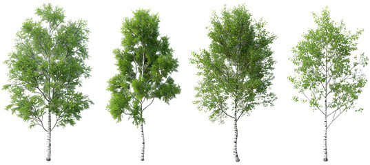 tropics lush trees shapes for landscaped on transparent backgrounds 3d illustrations png
