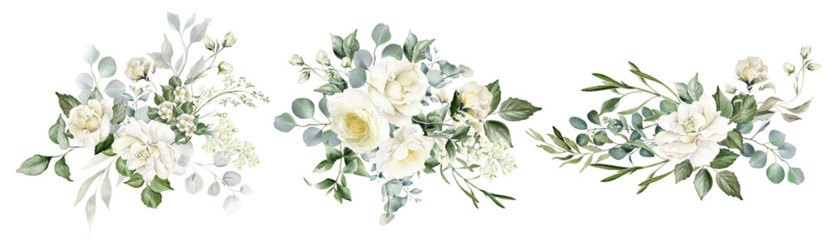 White flowers and green eucalyptus leaves watercolor illustration isolated on transparent background. Creamy roses bouquets, wedding florals