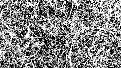 5-46. Dry grass Texture Effect - Illustration. Old Grass Leaf Black and White Vector Texture.