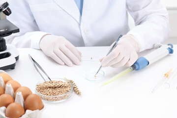 Wall Mural - Quality control. Food inspector examining wheat grain in laboratory, closeup