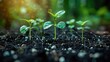 © 2D_Jungle - Minimalist financial growth with plant and grid pattern