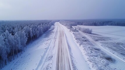 Wall Mural - aerial view of snowy winter road and forest cold idyllic wasteland landscape