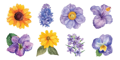 Set collection of beautiful blossom colorful purple yellow flowers floral watercolor illustration