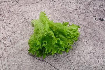 Juicy fresh green frilis salad