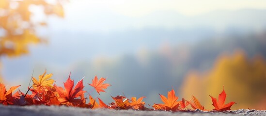 Poster - An image of a beautiful autumn landscape with colorful leaves and plenty of copy space