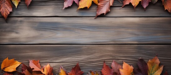 Aufkleber - A rustic wooden background adorned with vibrant leaves offering a generous expanse of copy space for text