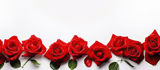 Aufkleber - A stunning copy space image featuring a border of vibrant scarlet roses against a clean white background