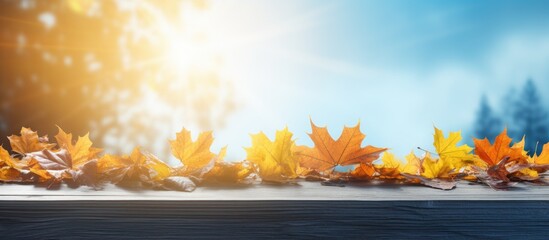 Aufkleber - Autumn concept of maple leaves on blue boards with scuff marks Sun rays shining through vibrant autumn foliage Copy space image