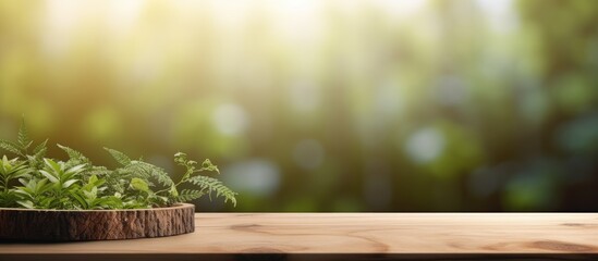 Poster - A copy space image featuring a tabletop with a beautifully blurred background showcasing nature s elements