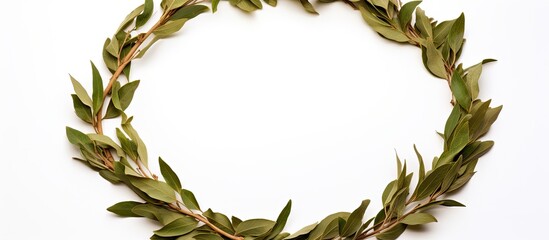 Fototapete - Dried laurel leaf seasoning showcased in a copy space image an isolated wreath made of laurel leaves on a white background