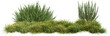 © Mathias Weil - grass line and rosemary