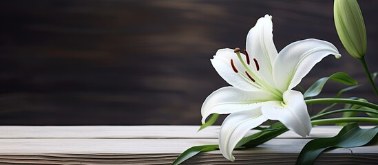 Wall Mural - A lily is set against a rustic wooden backdrop providing a captivating copy space image