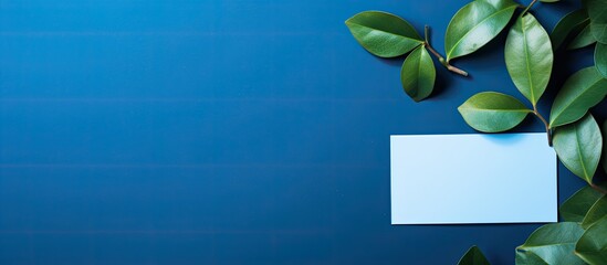 Poster - A top down view of a blank card on a blue backdrop highlighted by the shadow of leaves This copy space image includes a clipping path