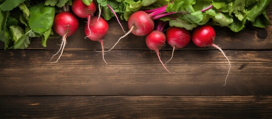 Wall Mural - an image of organic food vegetables specifically red radishes placed on a rustic wooden background w