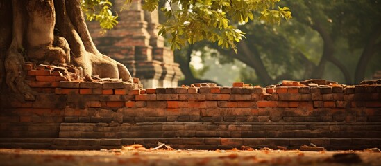 Close up of a ruined red brick wall surrounding a bodhi tree in an ancient Buddhist temple The wall is part of an old damaged building structure with trees in the background creating a blurred copy sp