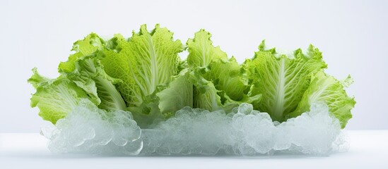 Wall Mural - an image of an iceberg lettuce with a white background providing ample copy space for additional con