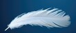 © vxnaghiyev - A macro shot of white feathers against a blue backdrop with ample space for text or other elements within the image